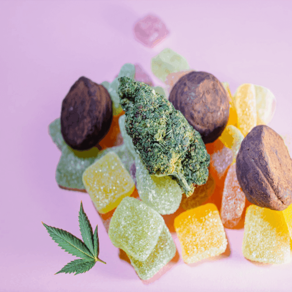 nj-cannabis-dispensary-partnerships