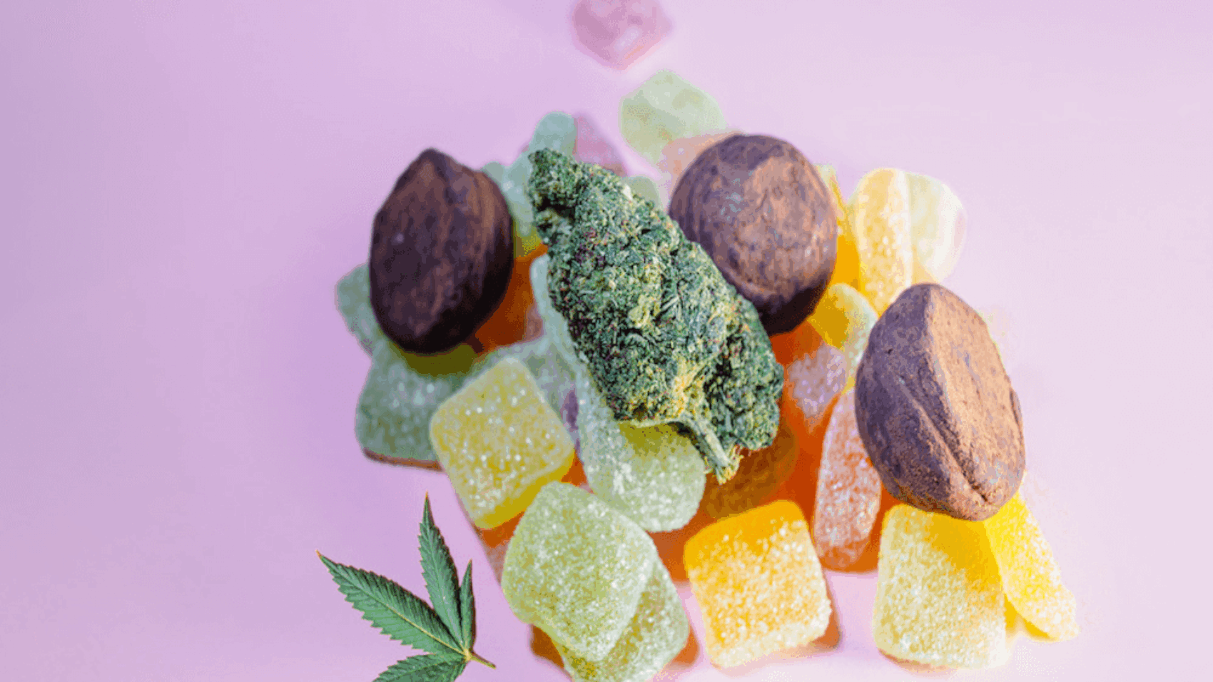 nj-cannabis-dispensary-partnerships