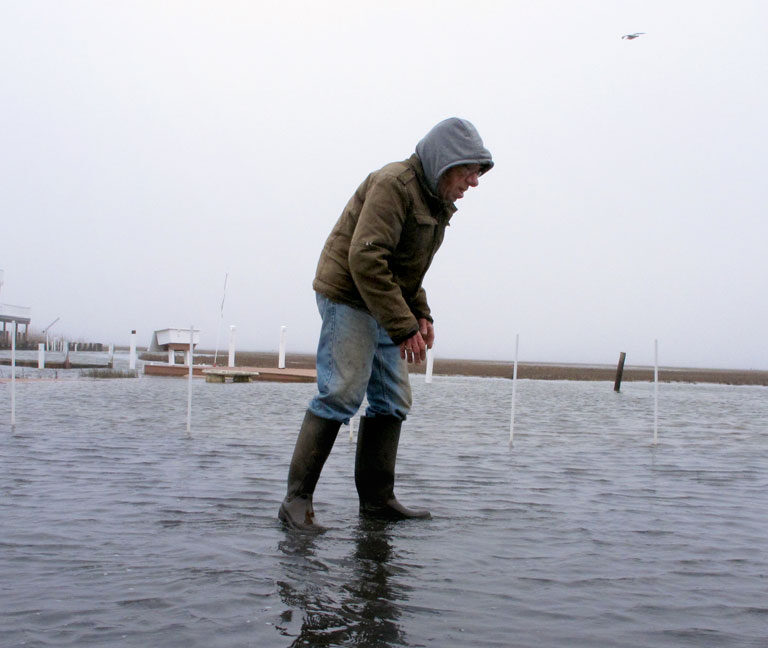 Community Voices and the Future: Navigating High-Tide Flooding and Sustainable Solutions