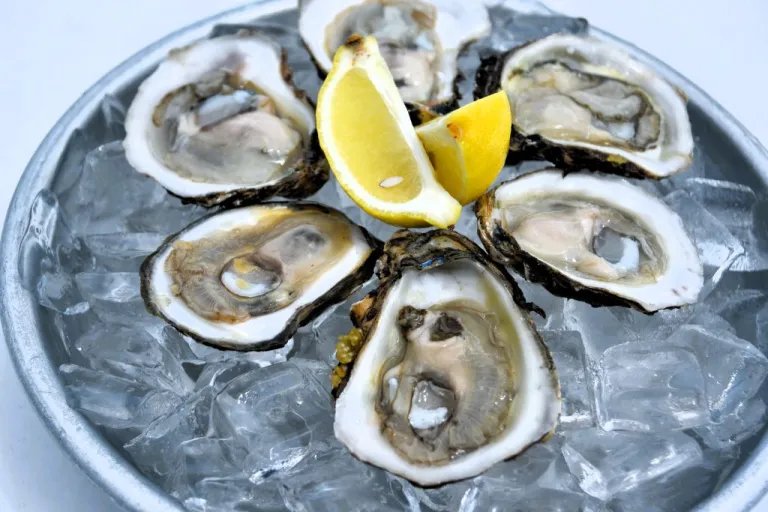 oceancrat-oysters-1024×683