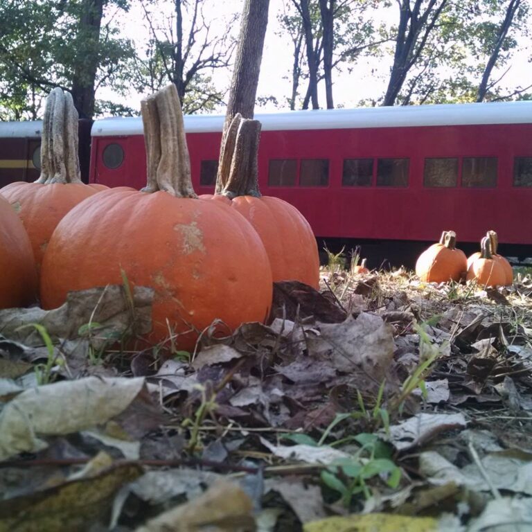 The Great Pumpkin Train Comes to Phillipsburg, New Jersey Starting October 4th. A Free Pumpkin for Every Child This October