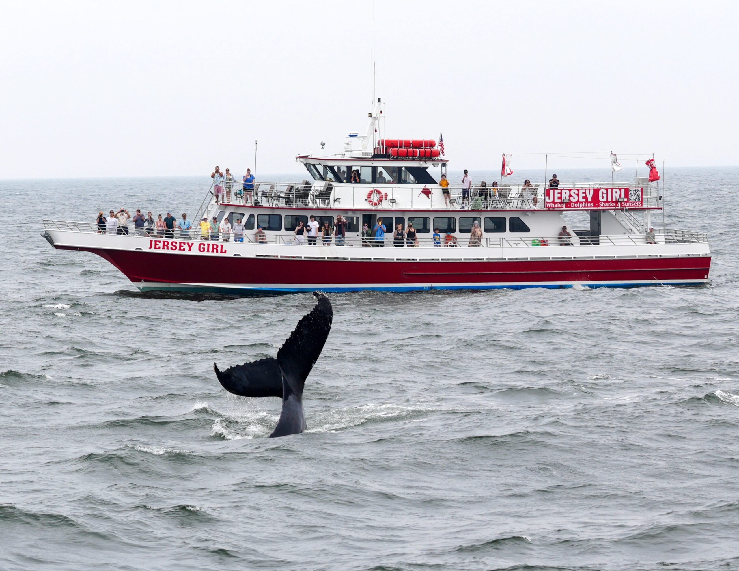 New Jersey Whale Watch boat
