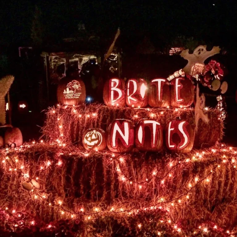 Brite Nites 2025 Lights Up Wagner Farm Arboretum in Warren, NJ