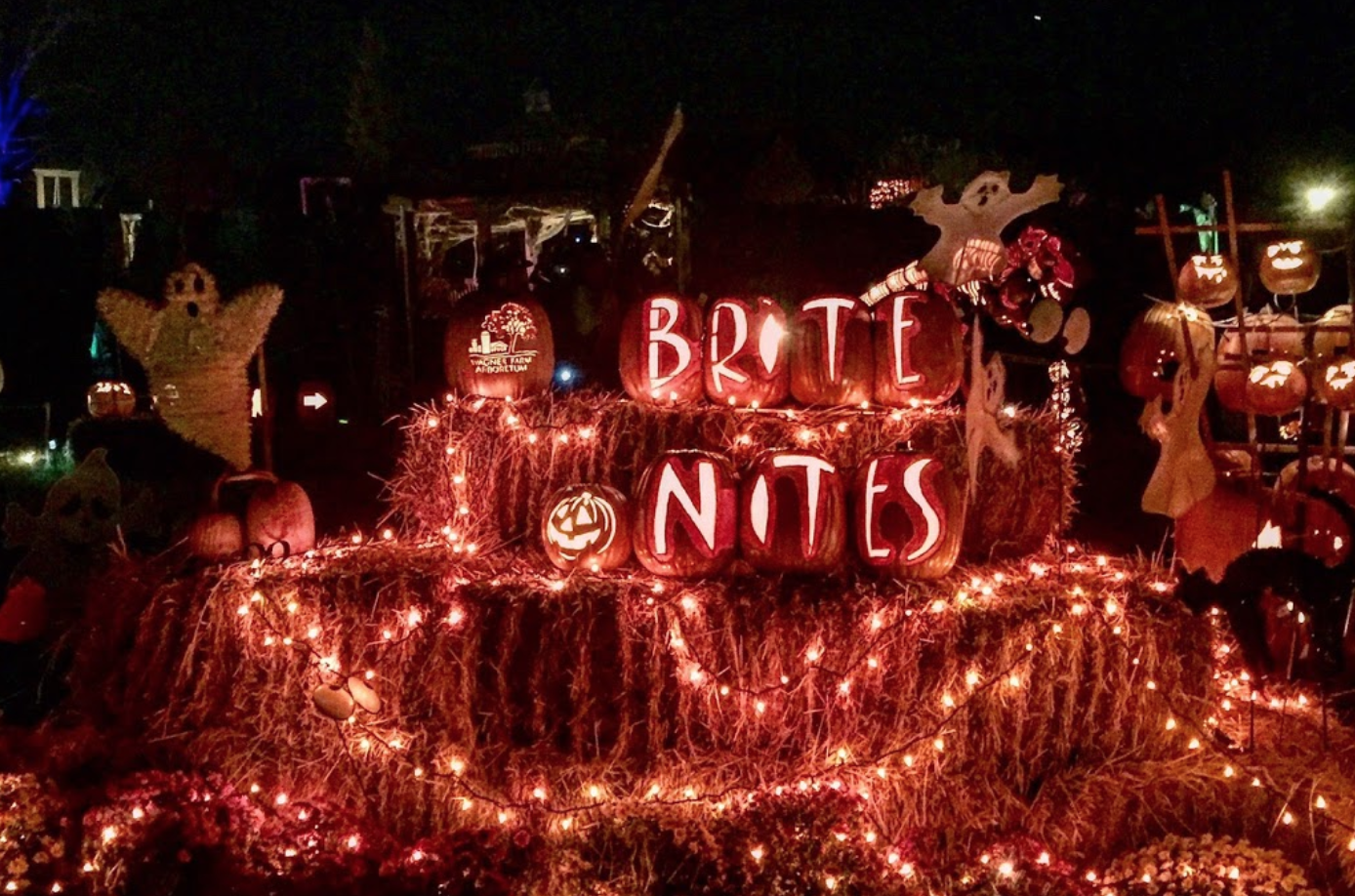 Brite Nites 2025 Lights Up Wagner Farm Arboretum in Warren, NJ
