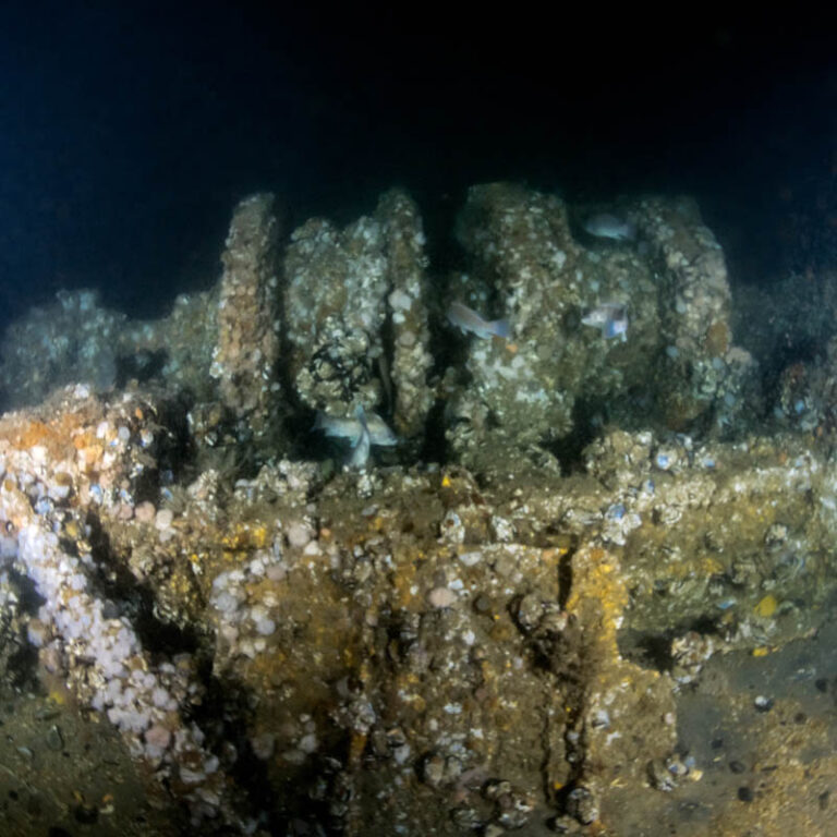 New Jersey Dive Team Solves 95-Year-Old Mystery of the ST Seiner Shipwreck