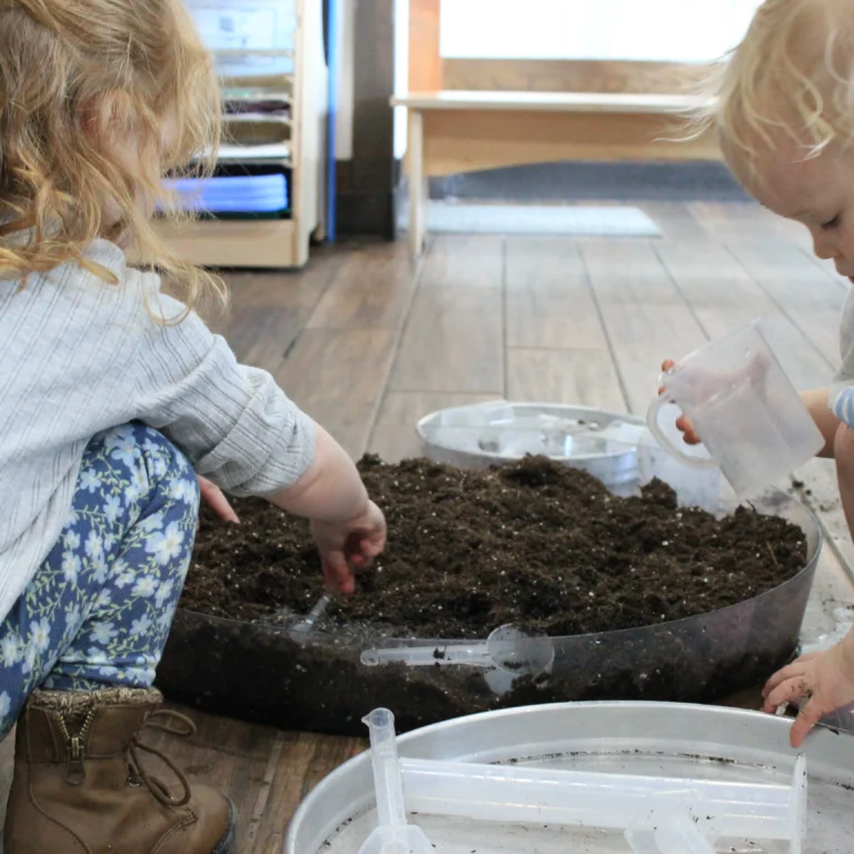 Transformational Growth and Early Education Insights Highlight New Jersey Wellness and Learning Trends