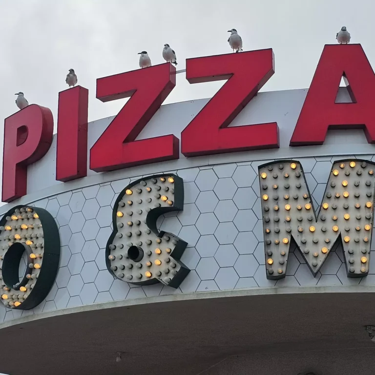 225 Top Pizzerias Reviews & Ratings as Explore New Jersey Highlights New Jersey’s Top-Rated Pizzerias