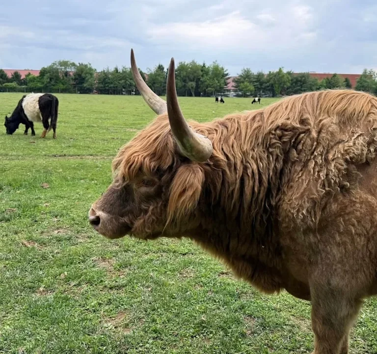 Historic Cranbury Farmland Secured Through Breakthrough State Agreement