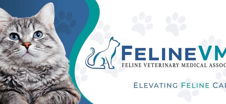 Feline Veterinary Medical Association and Merck Animal Health Recognize Rising Stars in Feline Medicine