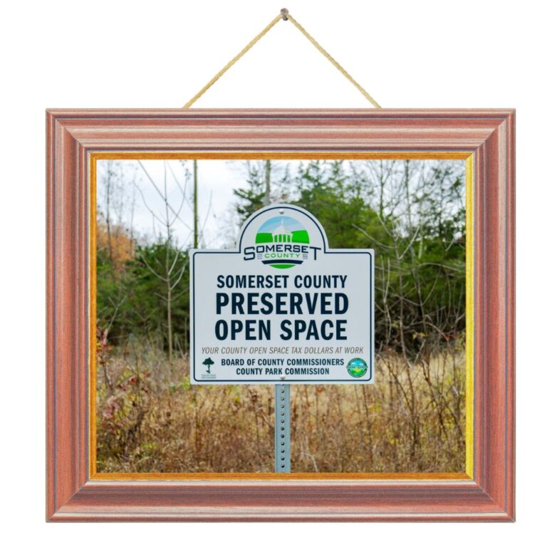 Discover Somerset County’s Natural Splendor Through Art