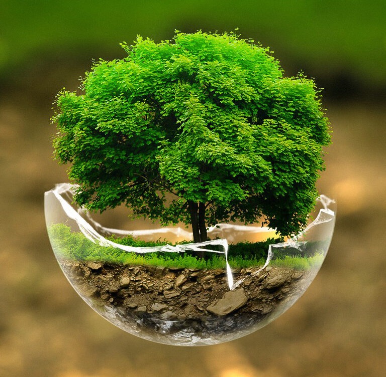 Sustainable Action Now is Championing Animal Welfare, Criminal Justice, Environmental Responsibility in New Jersey and All Over Thre World