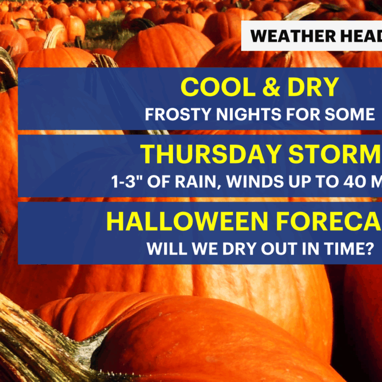 Fall Weather Turns Fierce: Wind, Heavy Rain and a Chilly Halloween Expected in New Jersey