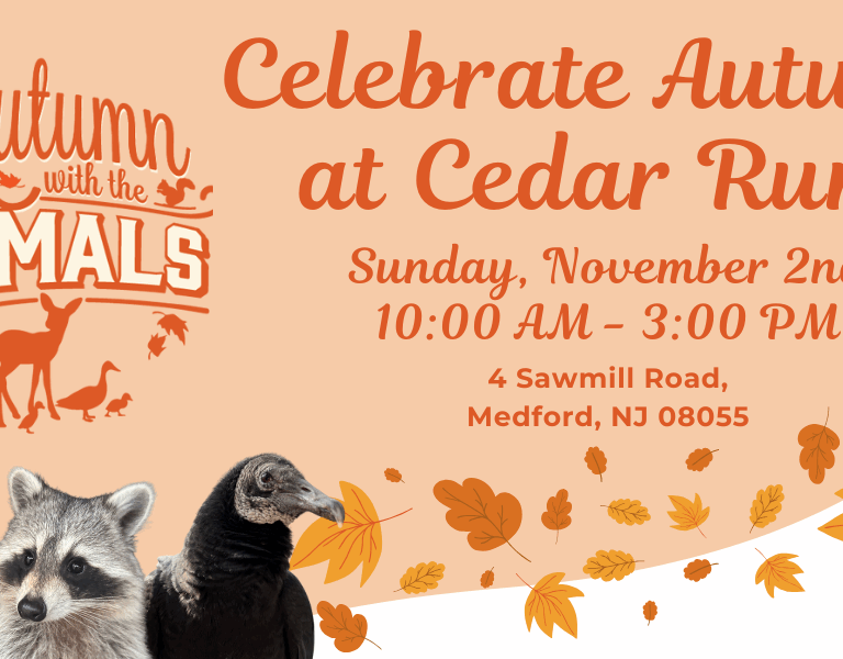 Celebrate Autumn and Wildlife at Woodford Cedar Run’s Annual Festival