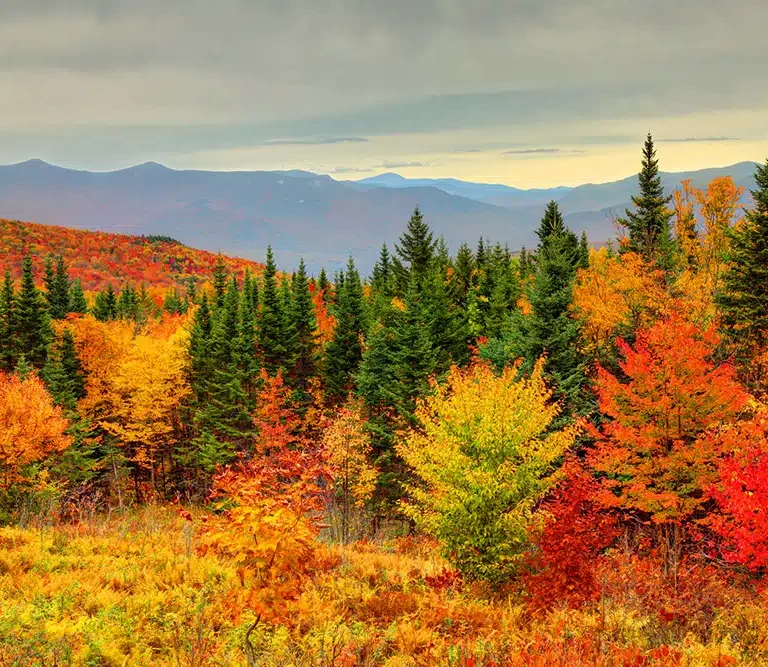 New Jersey Enjoys Extended Fall Weather Stretch with Seasonal Temperatures