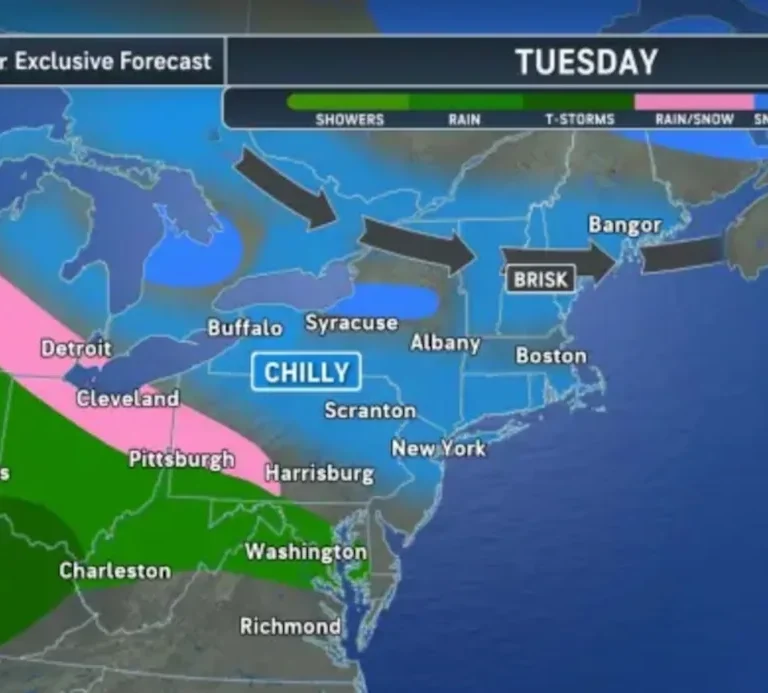 Chilly Start and Wet Transition Ahead as NJ Prepares for Milder Late November