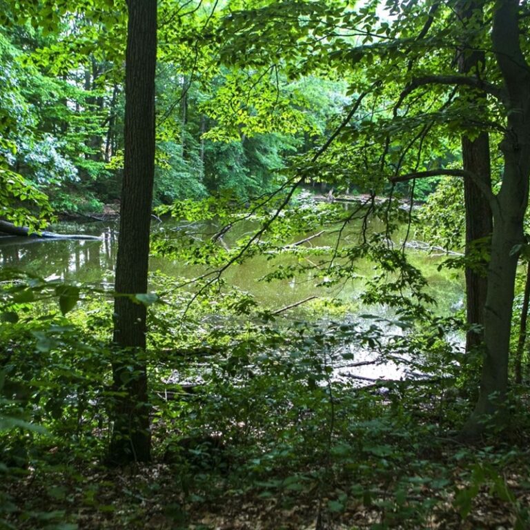 Morris County Moves to Preserve Nearly 200 Acres with 2025 Open Space Recommendations