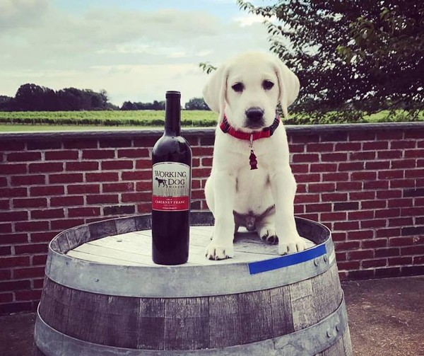 2a6f5bbdcc6b2d29cf841b1d81519701