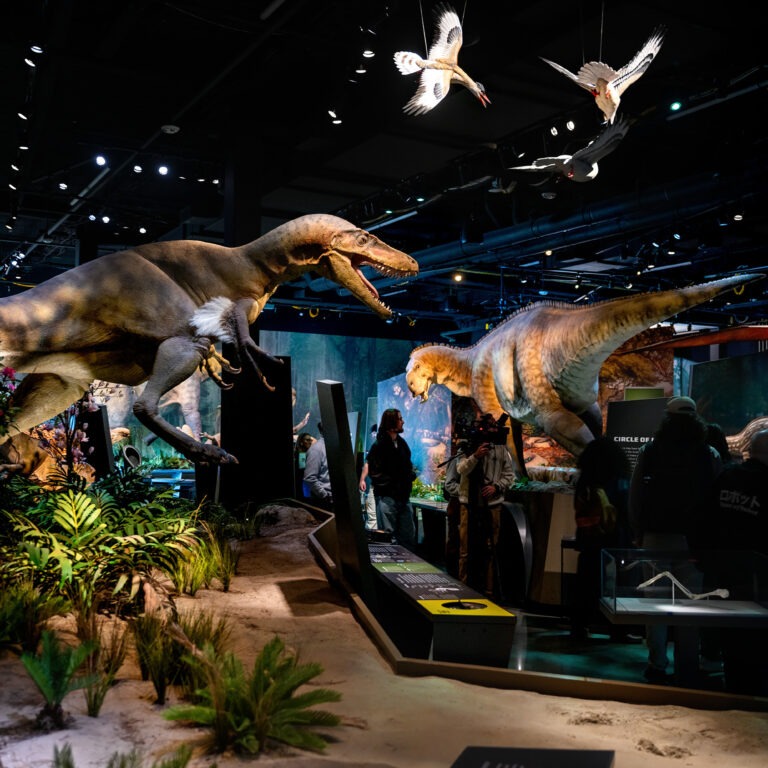 Holiday Mornings Come Alive with Dino Claws at Edelman Fossil Park