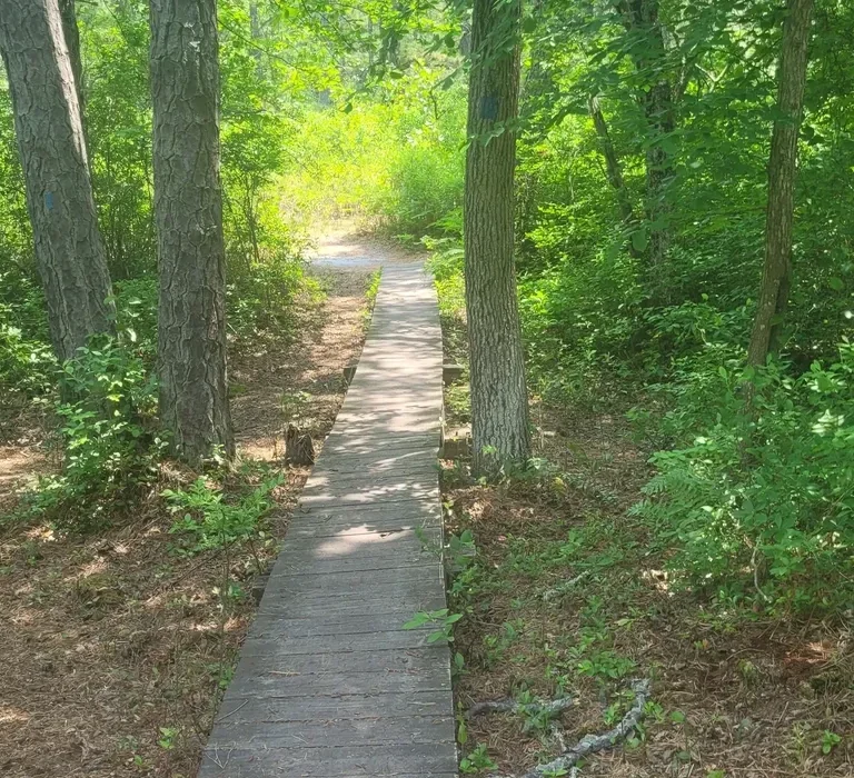 A Weekly Winter Tradition: Guided Nature Walks Bring Jakes Branch County Park to Life
