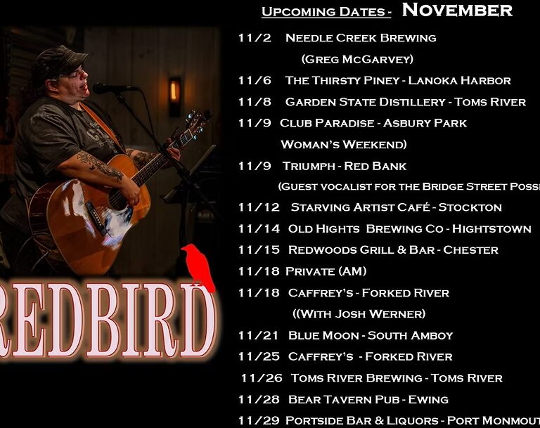 REDBIRD Flying Solo: Danielle Marrone Brings Eclectic Energy to New Jersey’s Music Scene