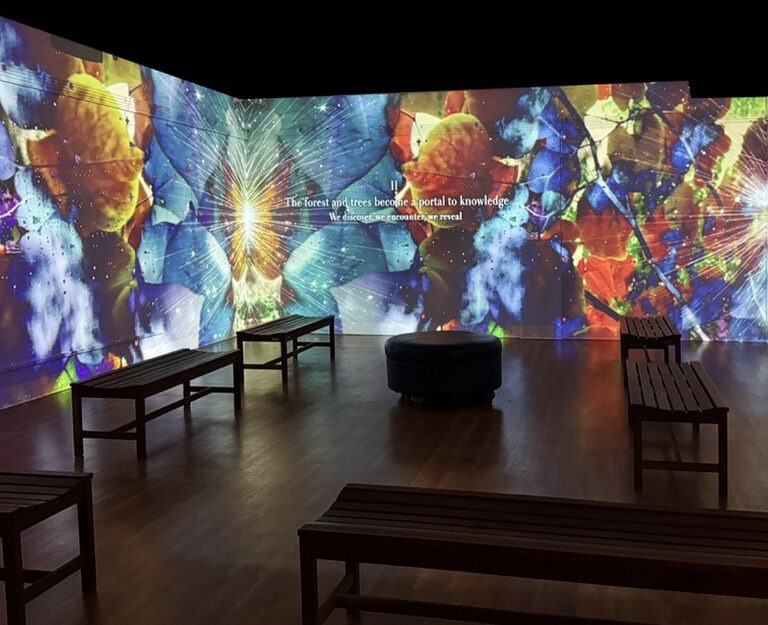 Morris Museum Unveils a Mesmerizing New Installation Blending Global Artistry and Environmental Storytelling