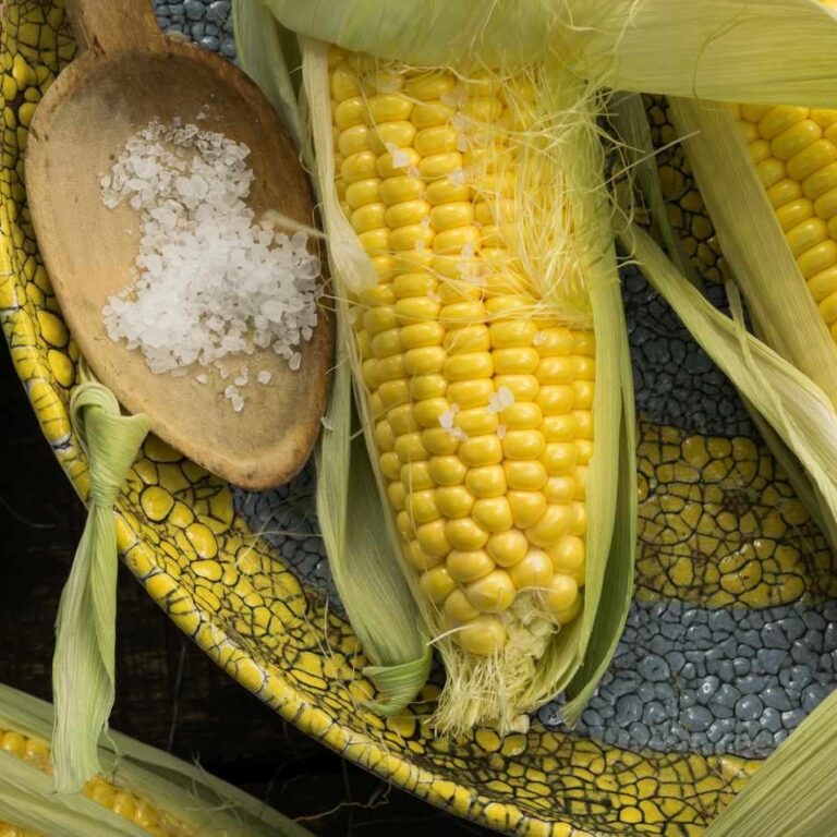 New Jersey Serves Up Vegetarian Thanksgiving Feasts and Holiday Fun Across the State