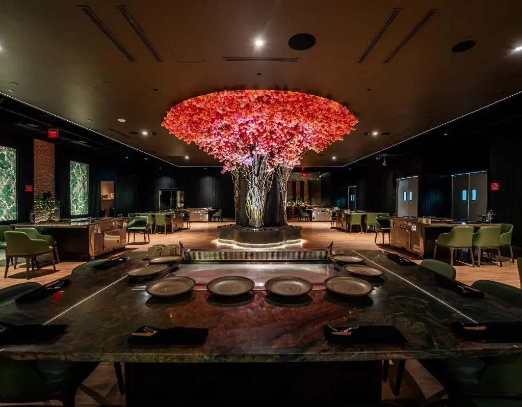 dream360-sekahi-hibachi-1___22095322927