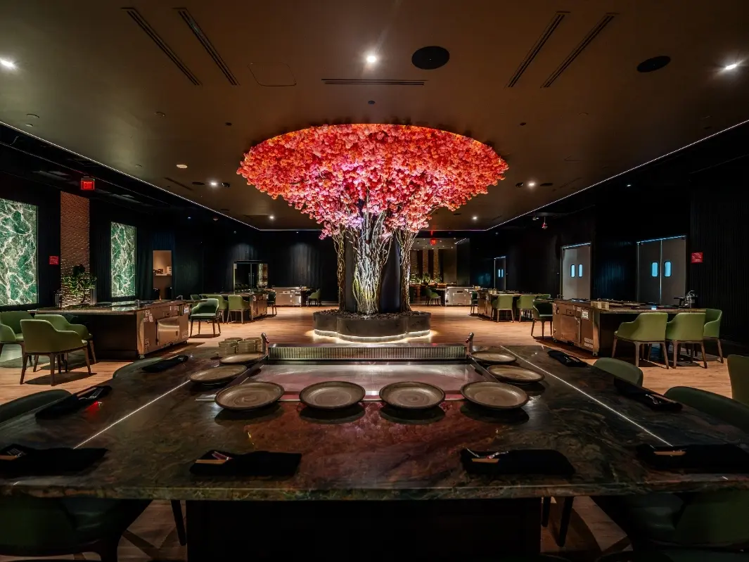 dream360-sekahi-hibachi-1___22095322927