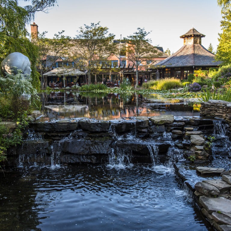 Where Dining Becomes an Experience: New Jersey’s Most Unforgettable Restaurants