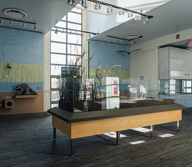 Winter Storytime and Creative Fun Planned at Liberty State Park Nature Center