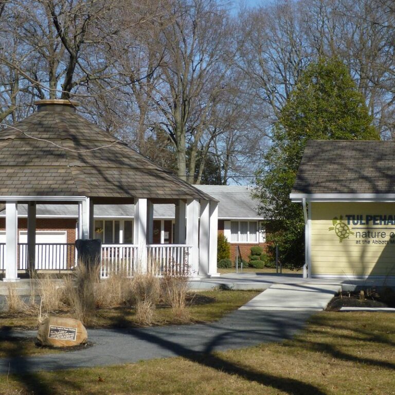 Winter Family Sundays Bring Nature, Creativity, and Discovery to Tulpehaking Nature Center