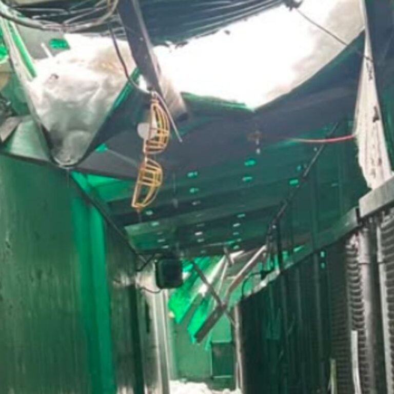 Newark Animal Shelter Faces Emergency After Roof Collapse, Community Steps Up to Foster Pets Newark Animal Shelter Faces Emergency After Roof Collapse, Community Steps Up to Foster Pets
