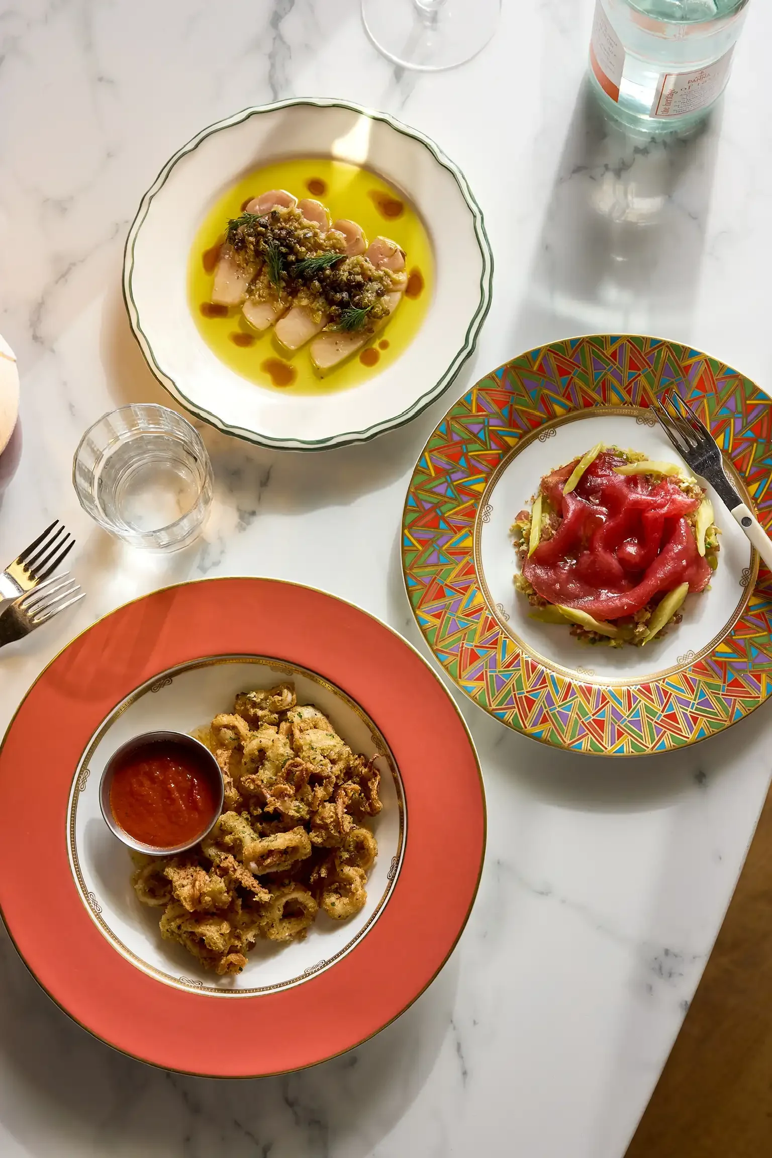 250303_judyharrys5161