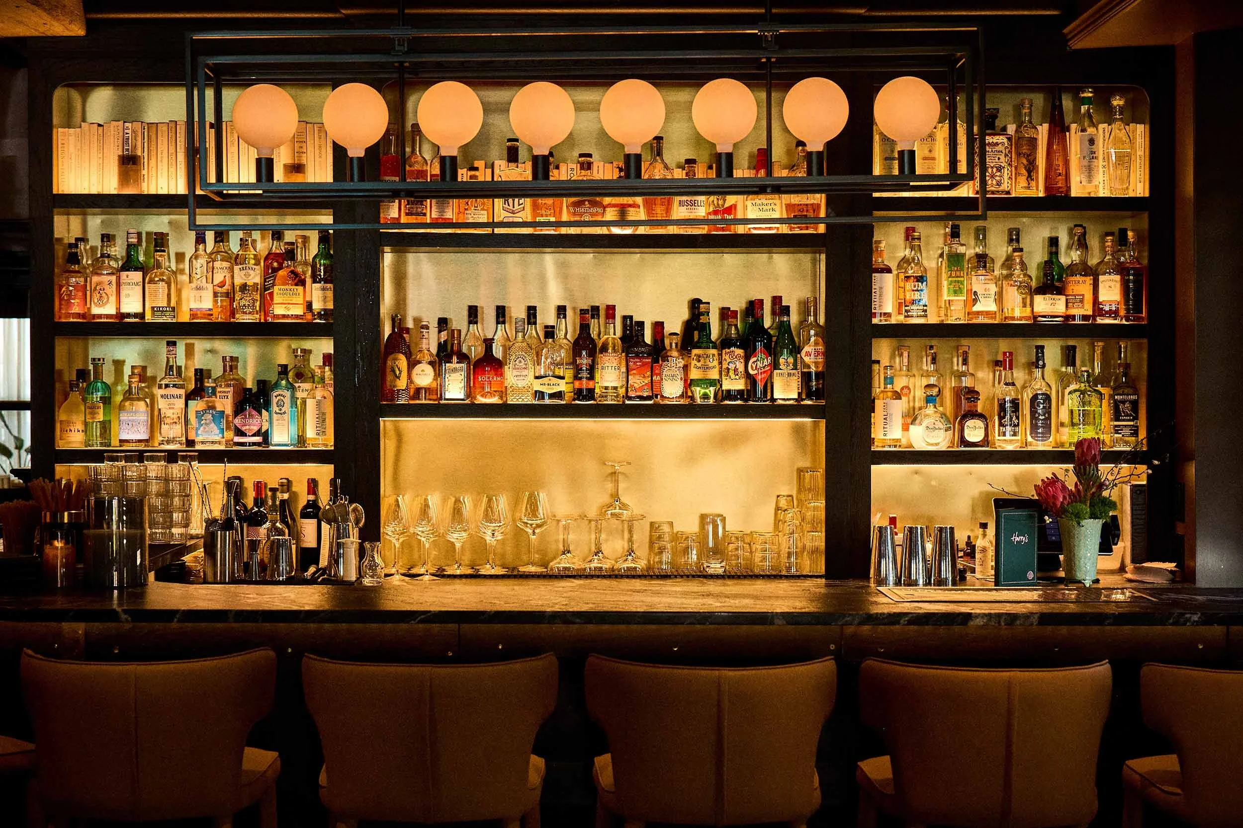 250327_JudyHarrys_10084