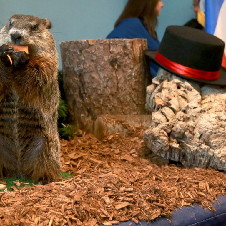 Your Winter Weekend Playbook: Ice Festivals, Big-Name Concerts, Theater Hits, Comedy, Film, and Family Fun Across New Jersey