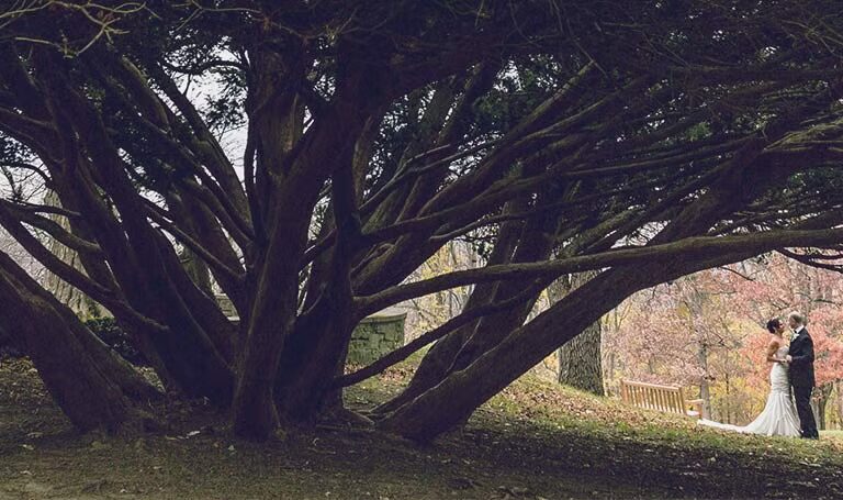 New Jersey Couples Turn Wedding Memories Into Cinematic Masterpieces
