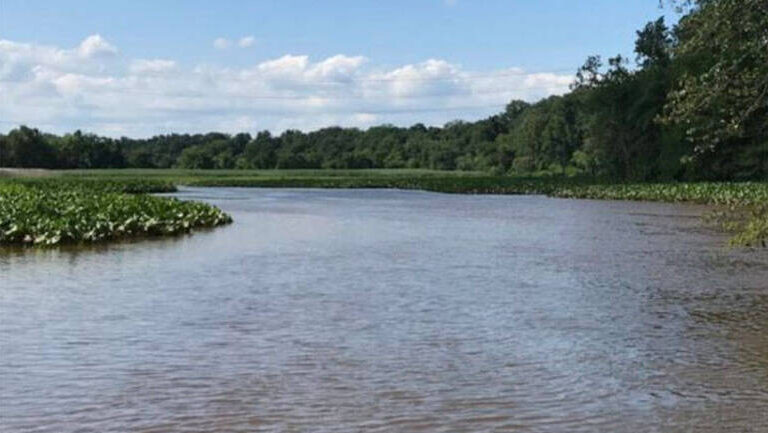 Exploring Revolutionary History: The Second Skirmish at Crosswicks Creek