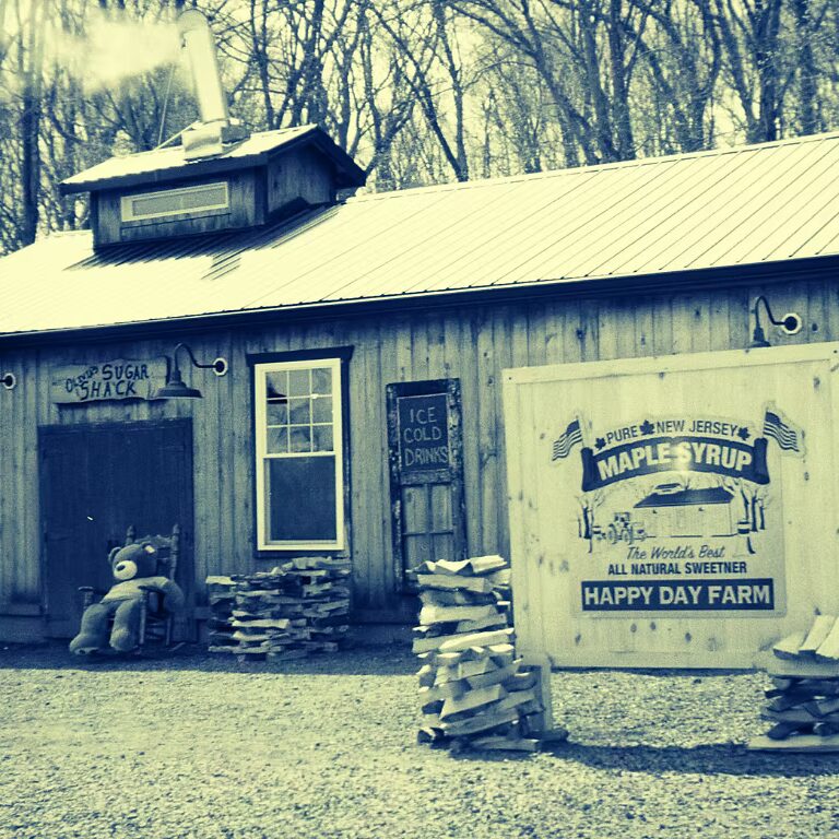 Happy Day Farm in Manalapan Prepares for Maple Season and Year-Round Agritourism Experiences