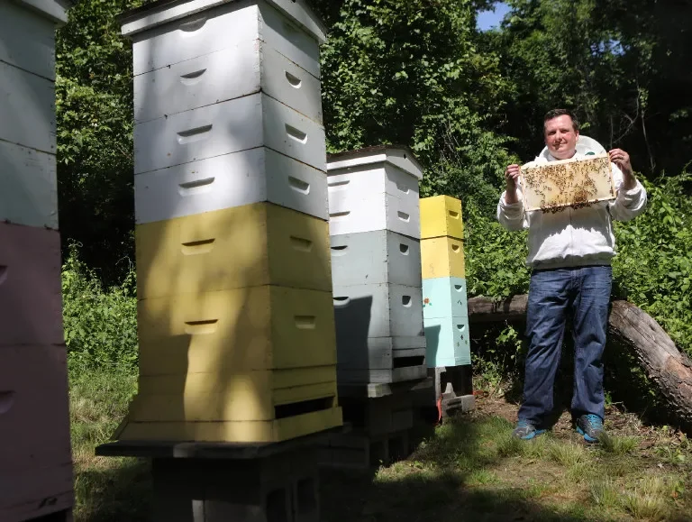 New Jersey’s Thriving Honey Culture and the Beekeepers Preserving It