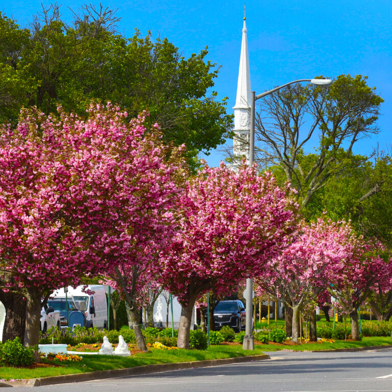 New Jersey Spring Festivals, Family Experiences, and Must-See Events Across the Garden State