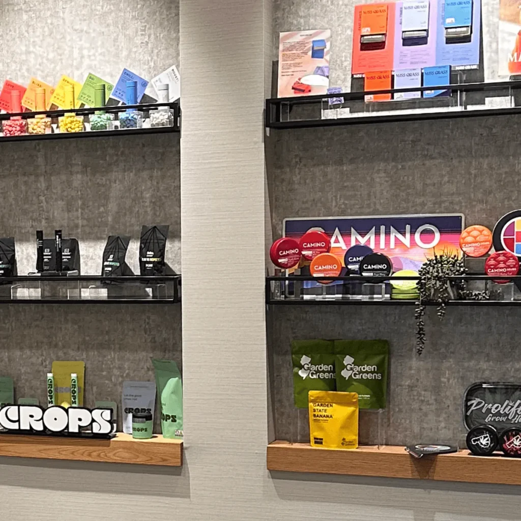 product-selection-e1734413827731