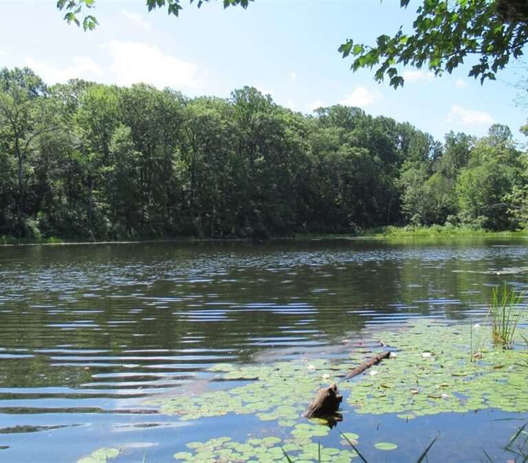 123 Acres Protected at Wildcat Ridge Preserve: Morris County Strengthens New Jersey’s Legacy of Open Space and Environmental Stewardship