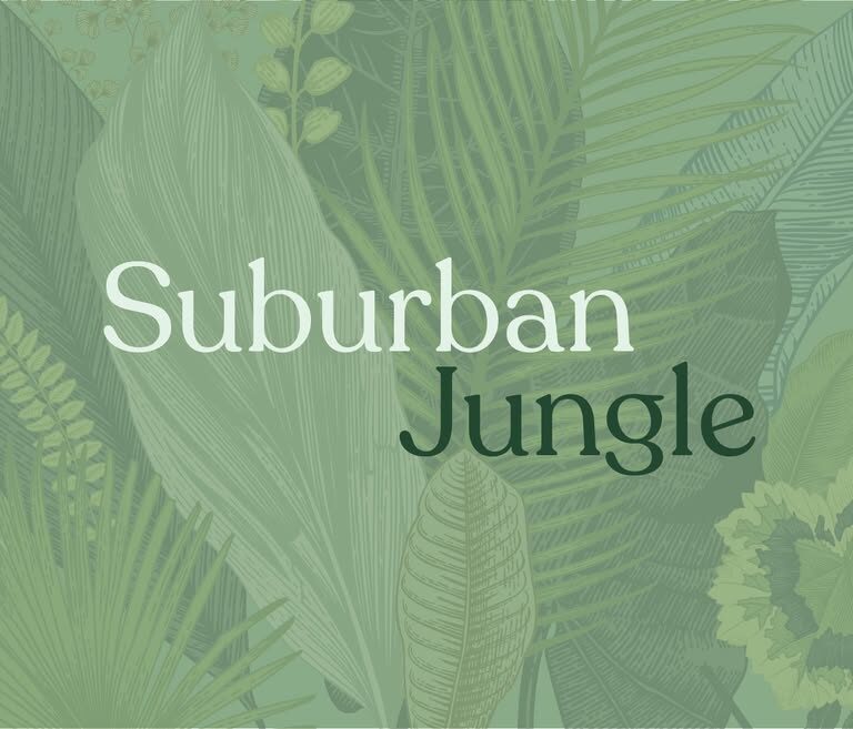 Suburban Jungle Collingswood: How a Grassroots Plant Community Is Redefining Local Agriculture, Sustainability, and Neighborhood Connection in New Jersey