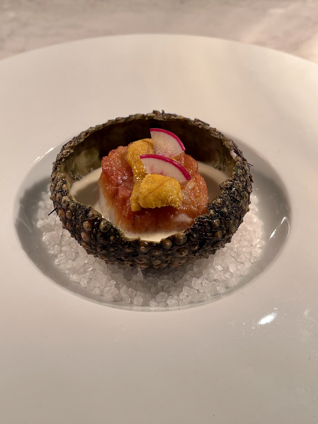 697a997d1d6ef4af0ec1cf6c_Scallop and urchin small