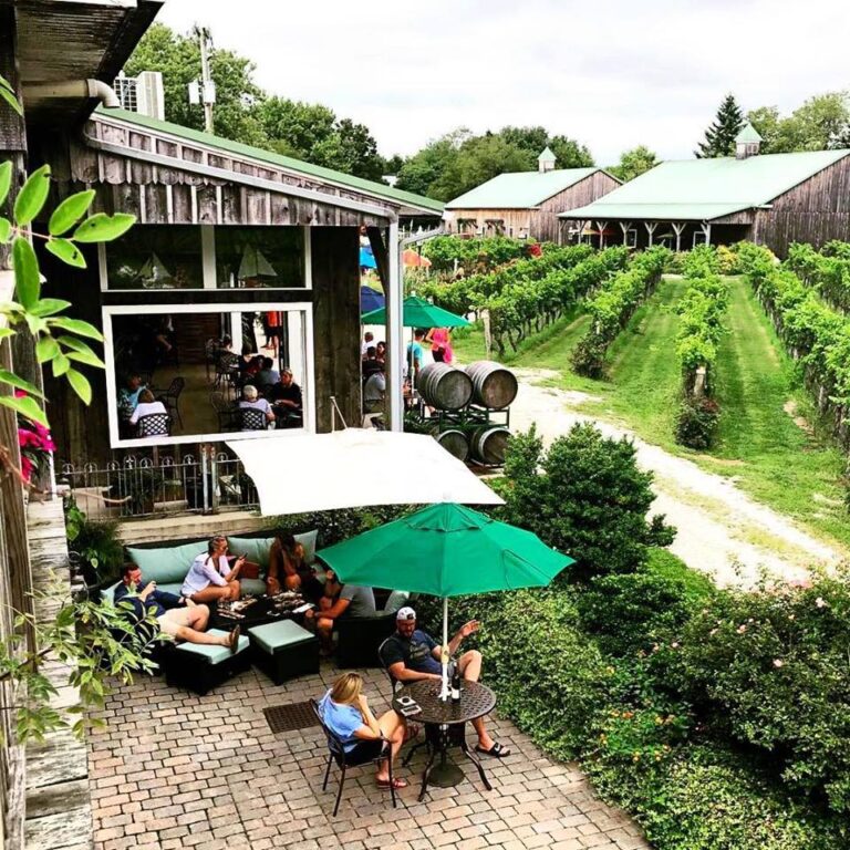 New Jersey’s Wine Industry Hits a Defining Moment: Landmark Cape May Vineyard Auction, Statewide Events Surge, and a Digital Revolution Reshapes the Garden State Wine Trail