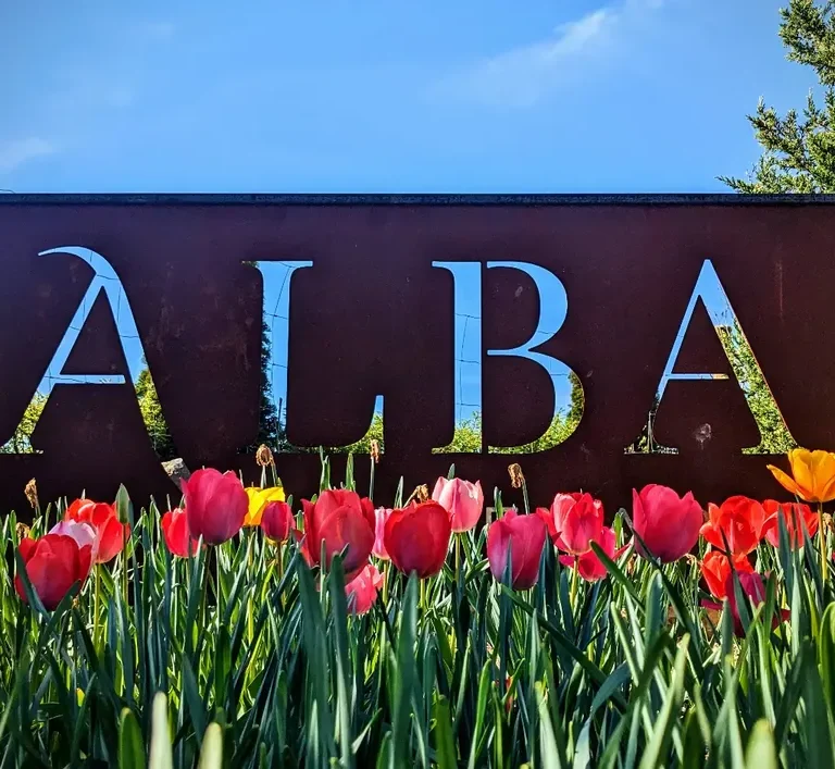 Alba Vineyard & Winery