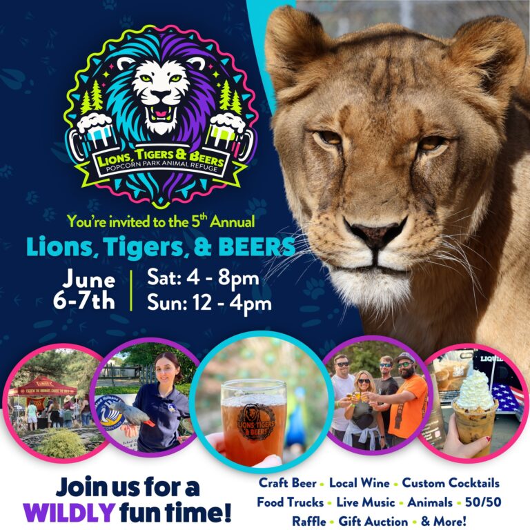Lions, Tigers & Beers Returns to Popcorn Park Animal Refuge as One of New Jersey’s Most Unusual and Meaningful Summer Fundraisers