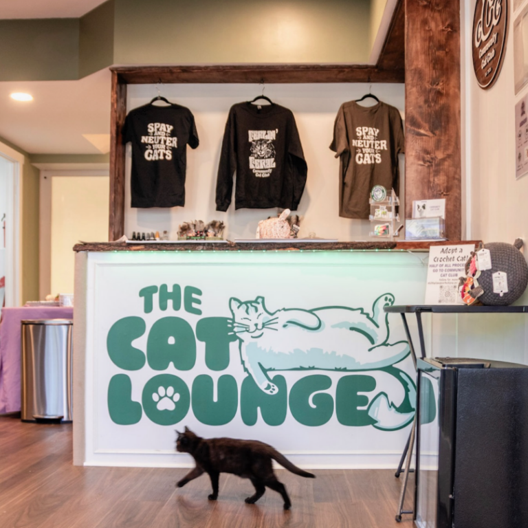 Community Cat Club Expands Its Lifesaving Mission in South Jersey With The Cat Lounge in Mount Ephraim