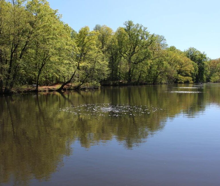 Camden County’s Transformation of Hopkins Pond Signals a Larger Vision for the Future of Community Parks in South Jersey