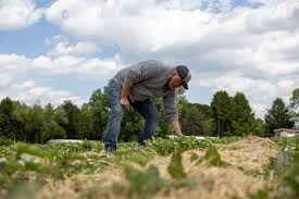 New Jersey Declares Statewide Agricultural Emergency After Historic Freeze Devastates More Than $300 Million in Crops Across the Garden State